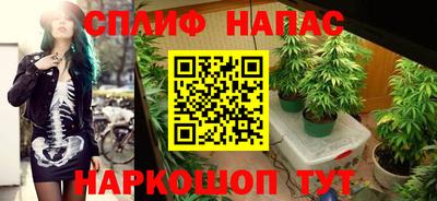 соль ск Будённовск